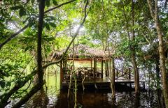 A wooden stilted pavilion with a thatched roof stands amidst lush green trees, surrounded by calm, dark water, likely in a tropical rainforest.