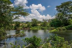 A picturesque view of a serene body of water surrounded by lush greenery and trees under a blue sky with fluffy white clouds.