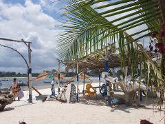 This photo captures a serene beach scene with a person walking by a rustic, open-air structure advertising seafood, fishing, and safari tours, all framed by a vibrant palm tree.