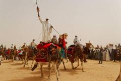 A colorful parade of camels and riders in traditional garb moves through a sandy landscape, with a man standing atop a camel, raising a whip.