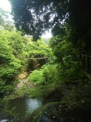 A scenic view of a lush green landscape with a rope bridge spanning across a valley, leading to a small pond.