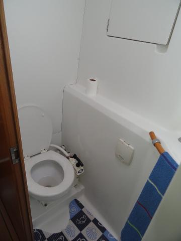 A small, enclosed bathroom features a white toilet with the lid open, a roll of toilet paper on a ledge, and a blue and white patterned rug on the floor. A blue towel hangs nearby.