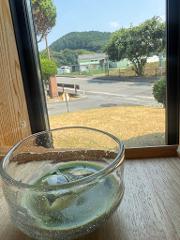 A glass of iced matcha tea sits on a wooden surface, framed by a window overlooking a sunny outdoor scene with lush greenery and buildings.