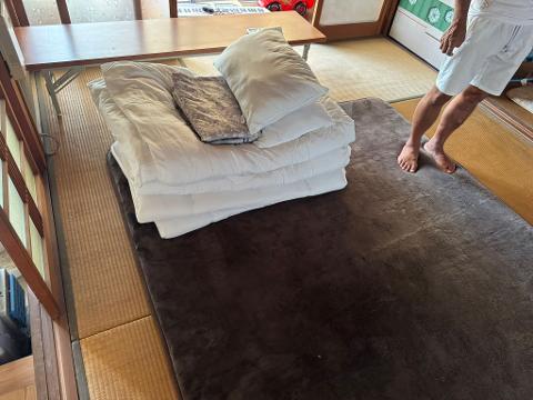 A scenic view of a lush green tea farm with rows of bushes leading up to a forested hillside under a partly cloudy sky.