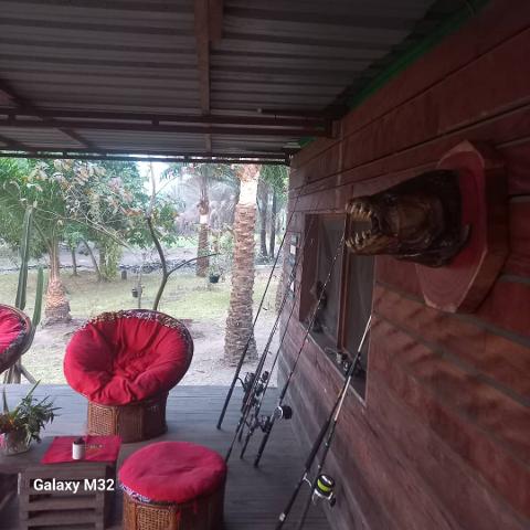 Five day fishing for goliath tigerfish in Congo Five day fishing for goliath tigerfish in Congo