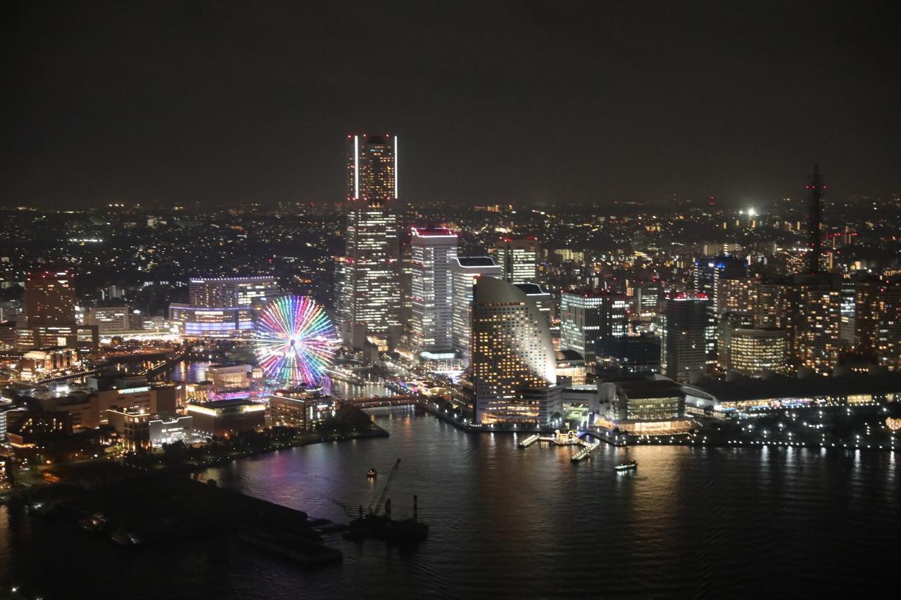 Yokohama Helicopter Tour 