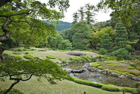 Tokyo & Kyoto Private Garden Tour: A Complete 6-Day Journey Through Japan's Most Beautiful Gardens A serene Japanese garden with a stream flowing through mossy rocks and lush greenery, framed by branches of trees.