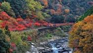 Certainement ! Voici une description de l&#39;image dans la limite des caractères : Un paysage d&#39;automne vibrant avec une rivière sinueuse et des arbres colorés encadrant une voie ferrée avec un train qui passe.