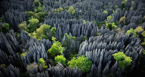 An aerial view of Tsingy de Bemaraha National Park in Madagascar showcases sharp, gray limestone formations interspersed with green trees.