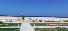 A tranquil beach scene with a clear blue sky, sandy beach, calm ocean, and manicured green spaces featuring pathways and decorative plants.