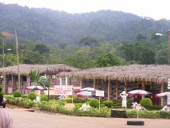 The Mfoundi Market