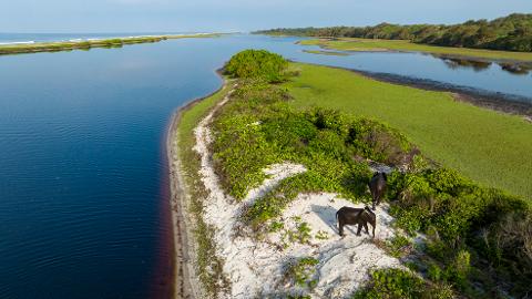 Two elephants are walking on a sandy shore near a body of water.