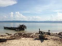 Here's a description of the image:A weathered, broken boat and driftwood lie on a sandy beach beside calm, blue water under a partly cloudy sky, likely on Muschu Island.