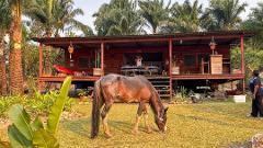 Fishing on the Congo River: Five Day Package and Kinshasa City Tour