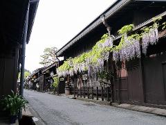 A tranquil street in Japan lined with traditional wooden buildings adorned with cascading wisteria flowers.