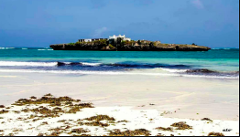 A coastal view showcases a small, rocky island with a white building nestled on it, with a bright sandy beach scattered with seaweed in the foreground.