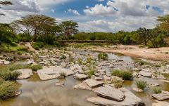 A scenic landscape of a shallow, rocky riverbed with lush green trees and vegetation along the banks under a partly cloudy blue sky.
