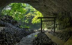 洞窟の入り口には鳥居が立っており、その周囲は緑豊かな木々や積み重なった石に囲まれています。