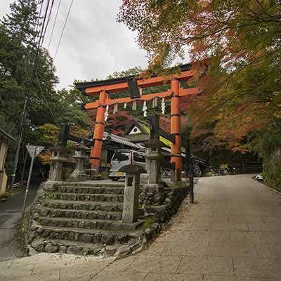 A serene view of a traditional Japanese torii gate with stone lanterns, set against a backdrop of autumn foliage and a path leading uphill.