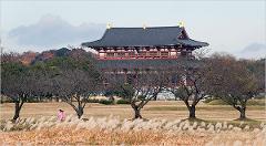 A girl in pink runs through a field of tall grass with a large Japanese building in the background.