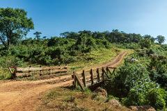 A dirt road crosses a rustic wooden bridge, leading through lush green vegetation towards a clear blue sky.