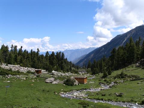 A serene landscape features a green meadow with a stream flowing past two small wooden buildings, backed by a forest and distant mountains under a partly cloudy sky.