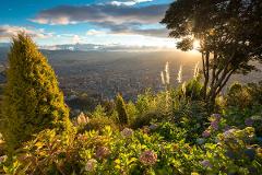 A scenic view from a hillside garden overlooking a city at sunset, with lush greenery and flowers in the foreground.
