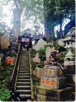 En stentrappe fører op til et traditionelt japansk helligdom omgivet af træer og mosdækkede sten.