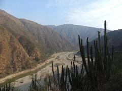 A scenic view of a river valley nestled between mountains, with tall cacti in the foreground.