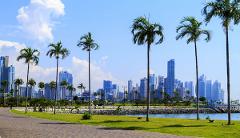 Panama City and Darien Gap A scenic view of Panama City skyline framed by tall palm trees, a paved walkway, and a grassy park under a sunny blue sky.