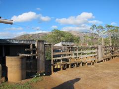 A rustic wooden fence and gate guard a rural farm scene under a blue sky with scattered clouds, with a mountain visible in the background.