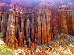 A stunning landscape of tall, striated rock formations in shades of orange and red dominates the frame, creating a dramatic and otherworldly scene.