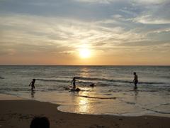 Birding in Colombia - Guajira, Tayrona, and Minca Here's a description of the image:Silhouetted figures play in the shallow water at sunset on a beach, with the sun reflecting on the ocean and sand.