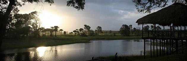 Bensbach WIldlife Lodge, Bensbach River, Far West PNG (Trans Niugini Tours) - Booking - Saver Special Price