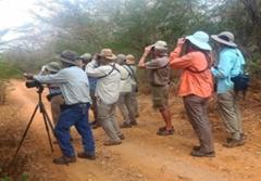 A group of people are birdwatching in a dusty, arid environment. They are standing on a dirt path with binoculars and a spotting scope on a tripod. They all wear hats.