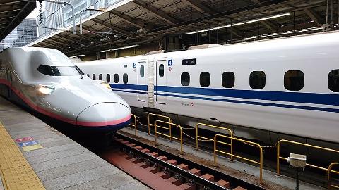 Tokyo & Kyoto Private Garden Tour: A Complete 6-Day Journey Through Japan's Most Beautiful Gardens Two Shinkansen high-speed trains are parked at a station, with one featuring a distinctive bullet-shaped nose and pink stripe.