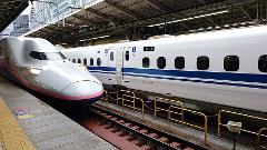 Tokyo & Kyoto Private Garden Tour: A Complete 6-Day Journey Through Japan's Most Beautiful Gardens Two Shinkansen high-speed trains are parked at a station, with one featuring a distinctive bullet-shaped nose and pink stripe.