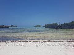 A scenic shot of a tropical beach with clear, shallow water, small rocky islands, and a traditional sailboat anchored near the shore under a bright blue sky.