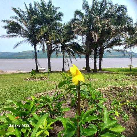 Fishing on the Congo River: Five Day Package and Kinshasa City Tour