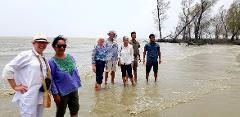 Bangladesh in 7 Days: Dhaka, Sreemongol & the Sundarbans A group of six people stand in shallow water near a beach with trees in the background.
