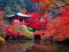 Une belle pagode et un pont japonais sont entourés d&#39;un feuillage d&#39;automne vibrant et se reflètent dans un étang serein.