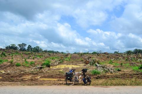 A bicycle stands before a devastated landscape of deforestation, with uprooted trees and muddy soil under a cloudy sky, highlighting environmental impact.