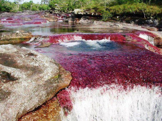 Caño Cristales from Medellin - 5 Day Tour