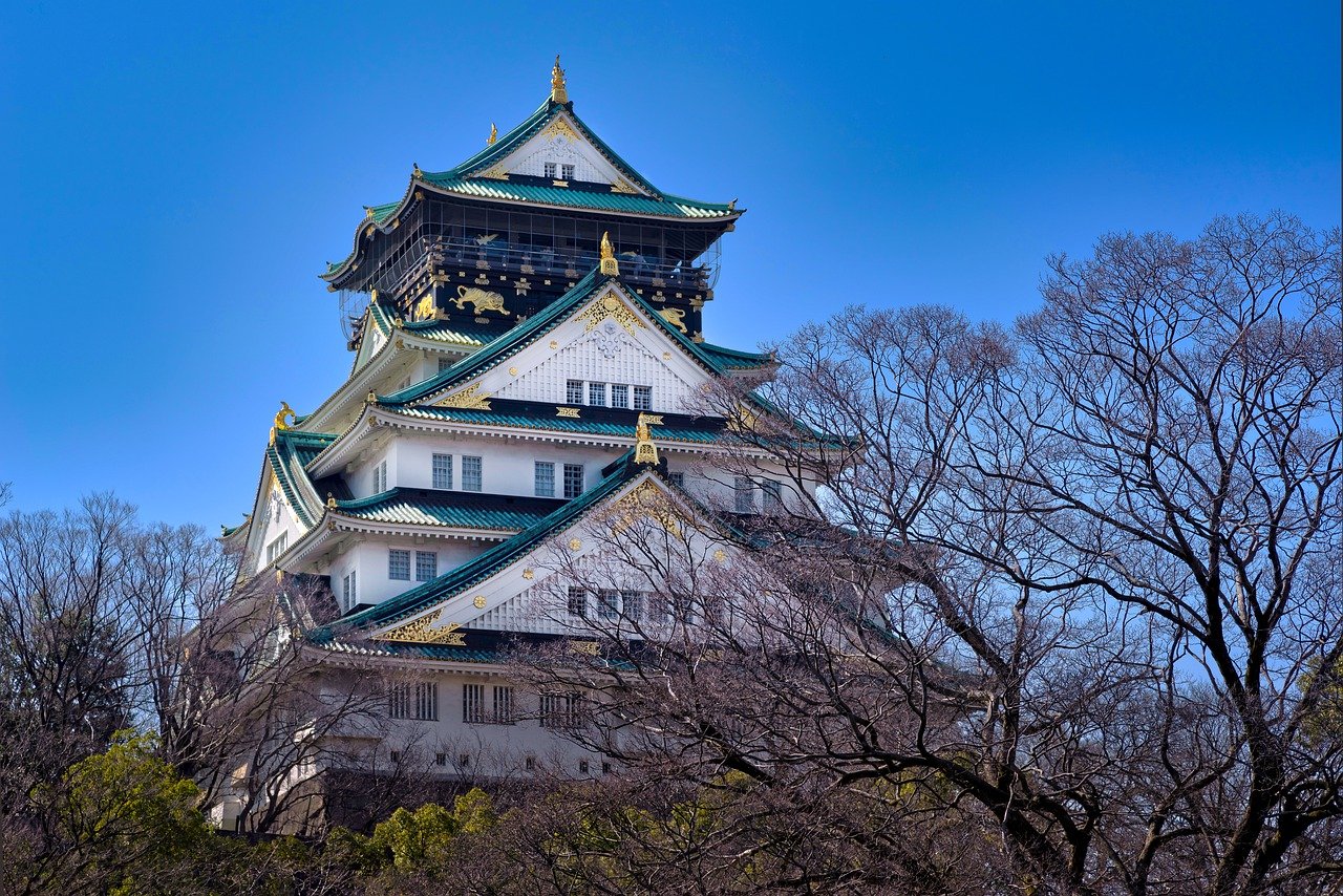 8-Day Highlights of Japan Sightseeing Tour of Tokyo, Hakone, Kyoto, Nara, and Osaka