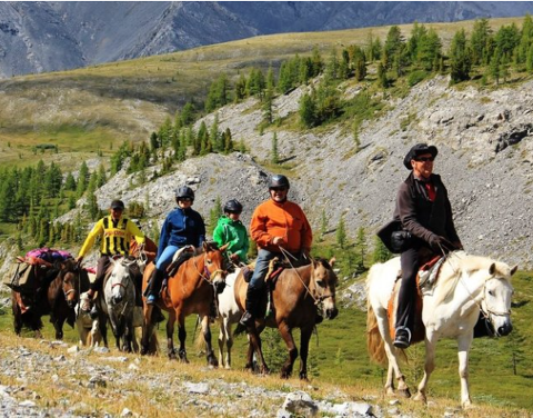 A group of people are riding horses in a mountainous area with green trees and grass.