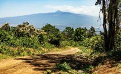 A winding dirt road leads towards a distant, hazy mountain range, framed by lush green trees and bushes under a clear blue sky.