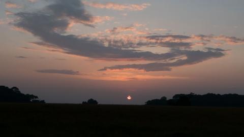 A serene sunset over a vast grassland with silhouetted trees on the horizon, painted in hues of orange and purple.