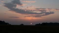 A serene sunset over a vast grassland with silhouetted trees on the horizon, painted in hues of orange and purple.