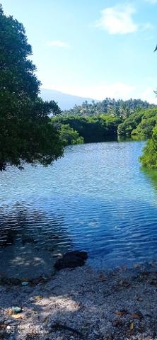 A serene lake surrounded by lush green trees and a distant mountain, captured on a bright, sunny day.