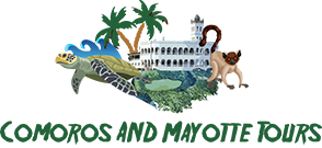 Day Tour Mayotte: N'Gouja Beach